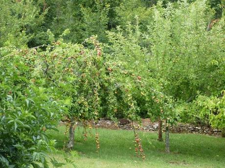 Coup d'envoi des vacances ! P1130882