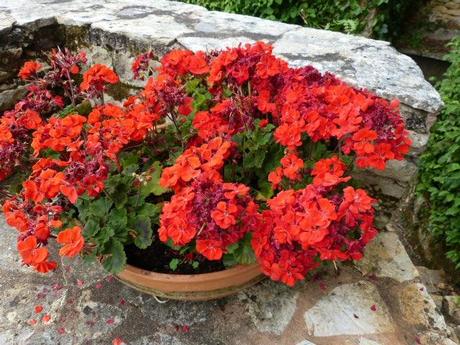 Coup d'envoi des vacances ! P1130881