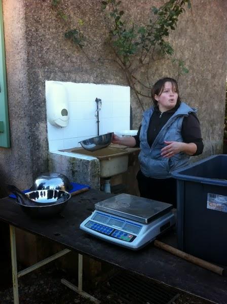 Découverte de la Pisciculture du Real à Pignans Découverte de la Pisciculture du Real à Pignans