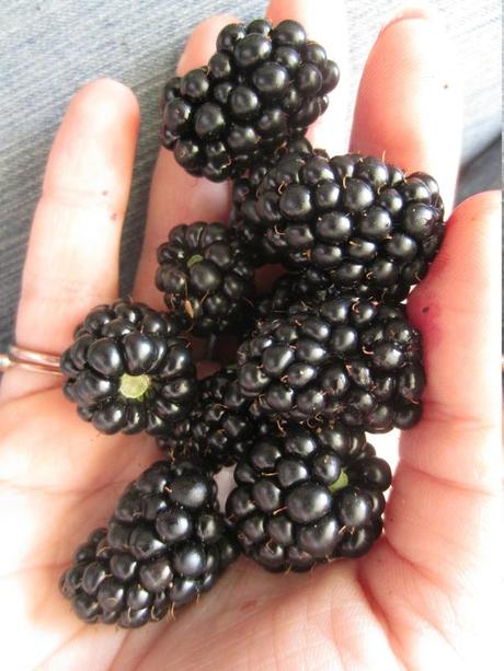 La cloche a sonné, ca signifie... IMG_7698