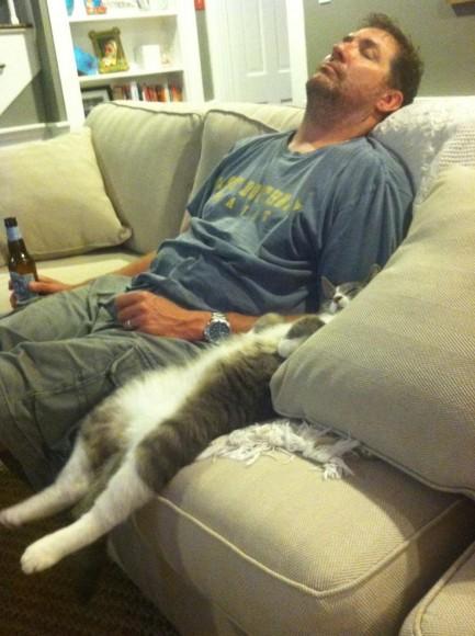 Chiens et chats dorment n’importe ou ! chien-chat-sieste-nap-napping-fun-mogwaii (36)