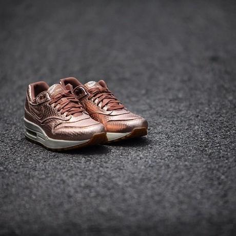 nike-sportswear-wmns-bronze-snake-pack-L-WCS3B4.jpeg