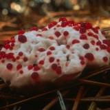 Champignon Dent Sanglante Hydnellum-Peckii 06