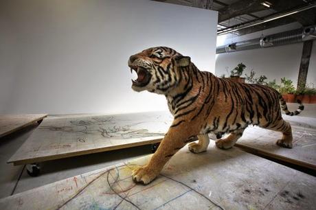 Huang Yong Ping // Galerie HAB de Nantes Huang Yong Ping // Galerie HAB de Nantes