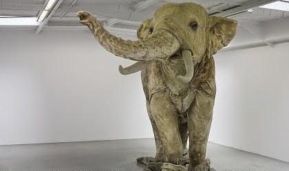 Huang Yong Ping // Galerie HAB de Nantes Huang Yong Ping // Galerie HAB de Nantes