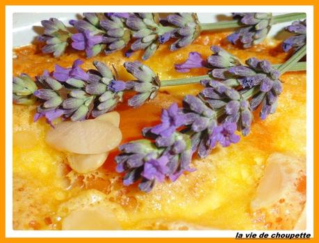 FLAN AUX ABRICOTS flan aux abricots-9782