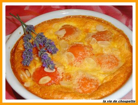 FLAN AUX ABRICOTS flan aux abricots-9783