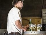 Château Panchille Bordeaux & Bordeaux Supérieur par Jean Dujardin