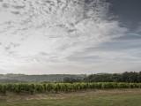 Château La France Bordeaux & Bordeaux Supérieur par Jean Dujardin