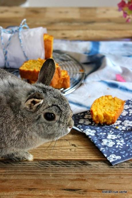 Cake aux carottes / Photos Atelier rue verte / Cake aux carottes / Photos Atelier rue verte /