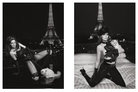 Choupette Lagerfeld confirme son statut de nouvelle star de la mode