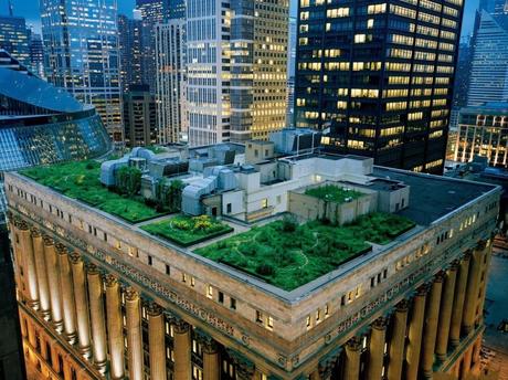 Chicago%20City%20Hall%20rooftop%20gardens