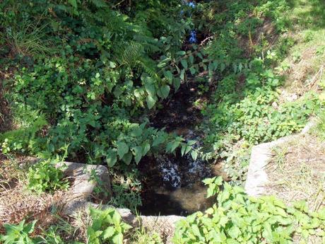 allez allez allez allez