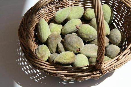 Green almonds
