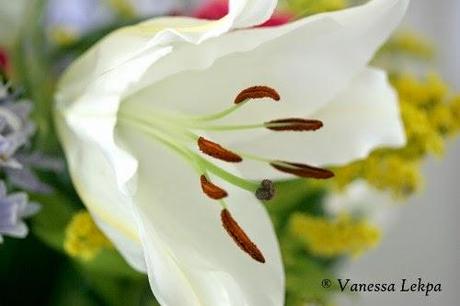 photo Fleur de Lys Vanessa Lekpa photo Fleur de Lys Vanessa Lekpa