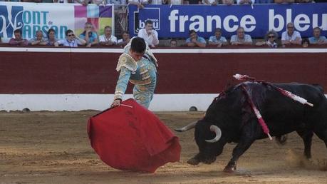 MONT DE MARSAN : FAENON DE DUFAU ET ESTOCADES DE MANZANARES. DSC04338