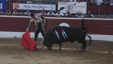 MONT DE MARSAN : FAENON DE DUFAU ET ESTOCADES DE MANZANARES. DSC04332
