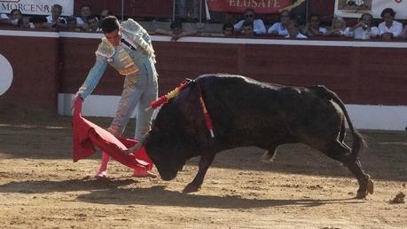 MONT DE MARSAN : FAENON DE DUFAU ET ESTOCADES DE MANZANARES. DSC04321