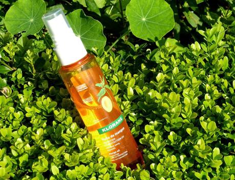 L'huile de mangue Klorane pour des cheveux protégés et sublimés