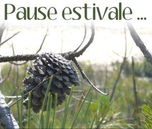 Pause_estivale