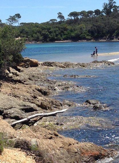 Porquerolles 2014 porquerolles2014-2