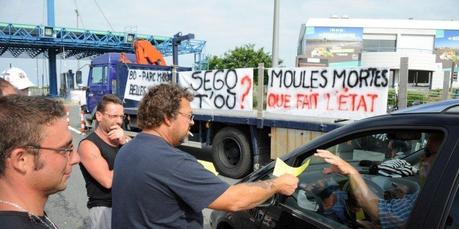 La Rochelle : nouvelle manifestation des conchyliculteurs ce mardi