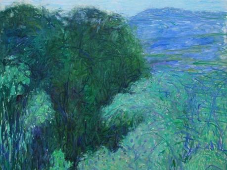 Virée à Saint-Claude Virée à Saint-Claude