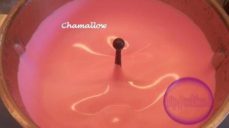Chamallow Thermomix 1