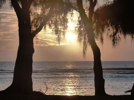 Comme un dimanche Comme un dimanche