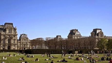Paris : des rats envahissent les pelouses du Louvre