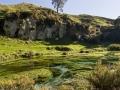 Te Waihou walkway and blue spring