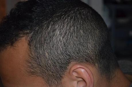 Le hair concours de juillet Le hair concours de juillet