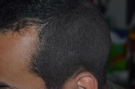 Le hair concours de juillet Le hair concours de juillet