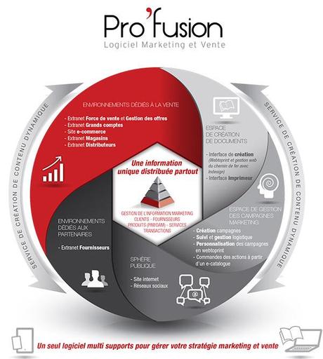 Pro'fusion : Une Seule Application Pour Gérer Toutes Vos Publications Marketing