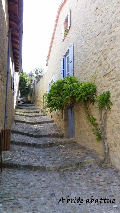 Le village médiéval de Lautrec (Tarn)