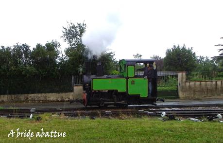 Le chemin de fer touristique du Tarn