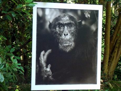 festival photo La Gacilly deuxième service festival photo La Gacilly deuxième service