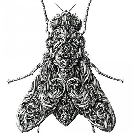  INSECTS DRAWINGS   ALEX KONAHIN child category ii 