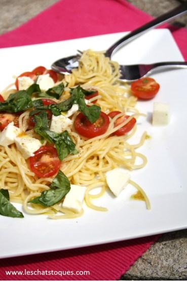 spaghetti tomates basilic zoom