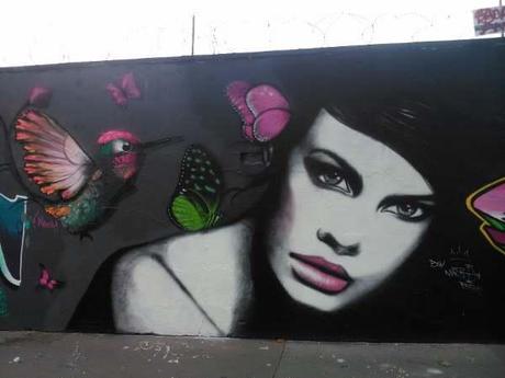 roe.jpg, août 2014 roe.jpg