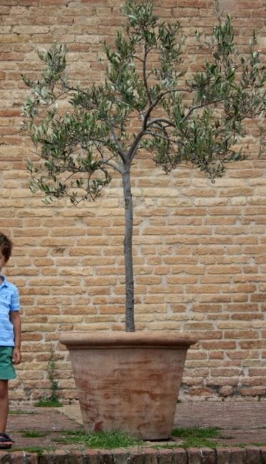 La Toscane avec les enfants, 2/3: Sienne, Volterra, San Gimignano et Pise La Toscane avec les enfants, 2/3: Sienne, Volterra, San Gimignano et Pise