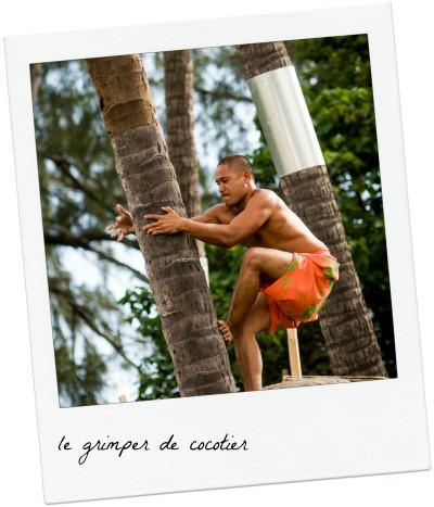 Sports traditionnels tahitiens, ces sports insolites ou juste fous ! grimper_cocotier