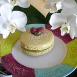 Frambistache: Gros Macarons à la Pistache et aux Framboises DIGITAL CAMERA