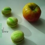 Macarons Pomme & Gingembre DIGITAL CAMERA