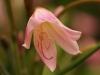 DSC05115 DSC05115