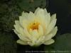 DSC04919 DSC04919