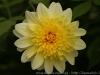 DSC05036_1 DSC05036_1