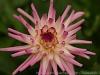 DSC05076_1 DSC05076_1
