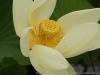 DSC04940 DSC04940