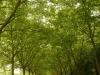 DSC05184 DSC05184